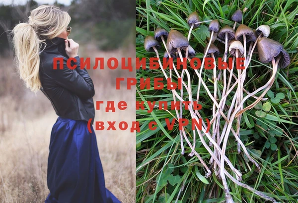 ешки Осташков